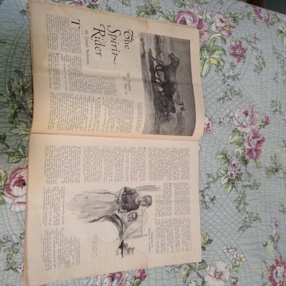 ORIGINAL People's Home Journal, August 1929, 1920s '20s Magazine - Picture 4 of 4